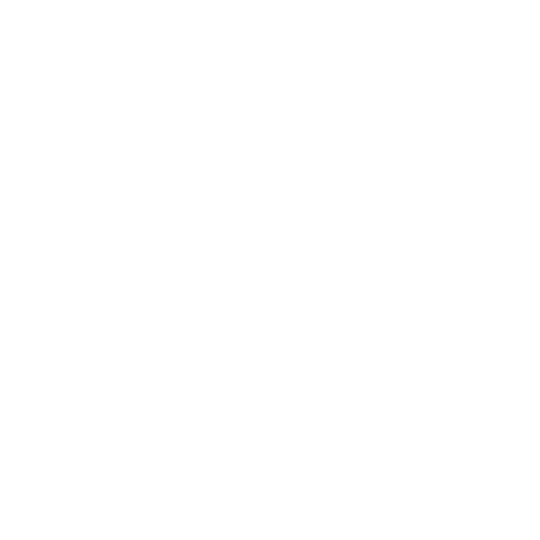 Values Icon-1